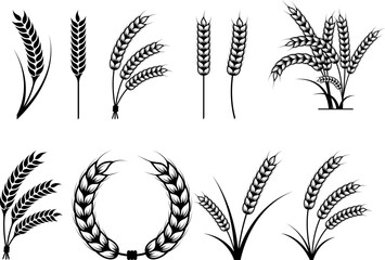 Wheat Eps, Vector Images Black and White