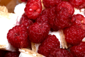 Fresh raspberries atop a creamy dessert delight 