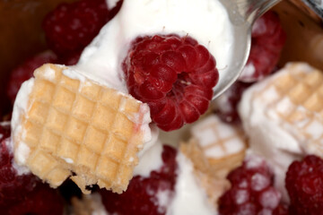 Raspberry cream dessert delights 