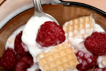 Delightful dessert bowl with raspberries and wafers 