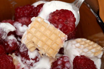 Raspberry delight topped with creamy goodness in a bowl 