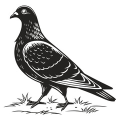 vector illustration of a bird