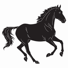 horse silhouette isolated on white