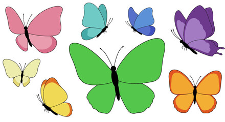 Collection of colorful butterflies on a white background