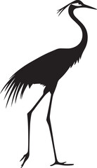 Obraz premium Crane in motion taking long strides with head extended forward, body steady, and legs straight in a full-length silhouette.
