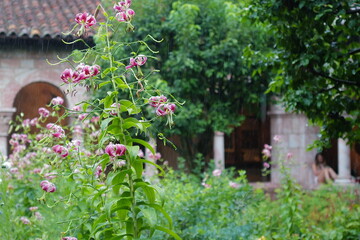 wooden house with flowers