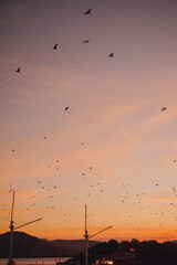 Obraz premium Beautiful scenery of sunset time in Labuan Bajo island, Indonesia.