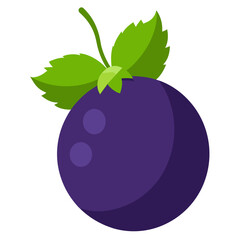 vector illustration of blackcurrant fruit