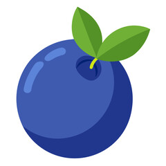 blueberry fruit with leaf vector background