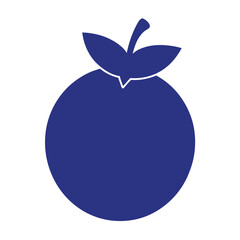 blueberry fruit vector illustration