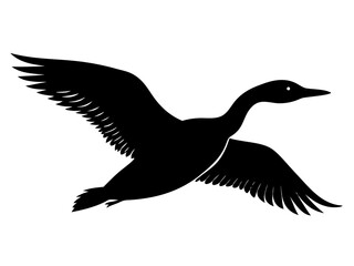 Flying loon bird   silhouette vector
