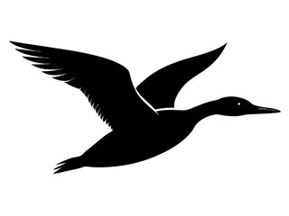 Flying loon bird   silhouette vector
