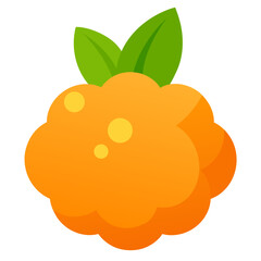 vector illustration of a cloudberry fruit