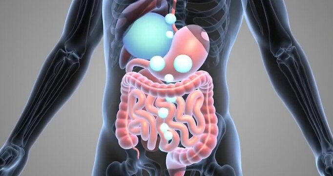 Extreme close-up of a bloated stomach with digestive discomfort