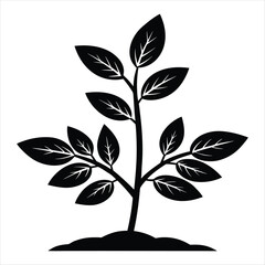 Emerging Plant Sprout Silhouette with Leaves and Roots Symbolizing Growth and New Beginnings in Botanical Design