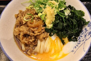 Beef and onsen tamago BK udon noodles in Tokyo, Japan