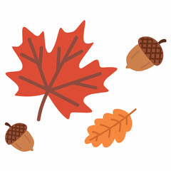Obraz premium Autumn leaves with acorns in flat style, featuring maple and oak foliage. Perfect for thanksgiving, harvest design, seasonal cards, and fall decoration.