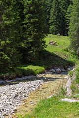 Hiking in Val Venegia - Italy