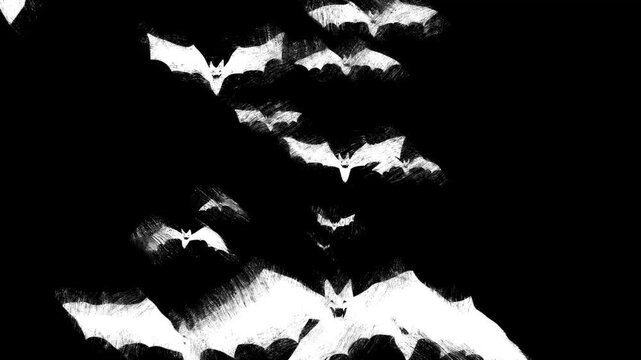 Cartoon doodle creepy Bats fly. Bats fly transition with hand drawn scrible scratches. Isolated Halloween elements. Happy halloween. Flock of flying bats. 2d animation. Scary 4k stock footage.