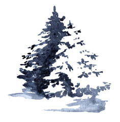 Watercolor painting of a winter evergreen tree. Hand-drawn illustration. Perfect for seasonal, holiday, or nature-themed designs.