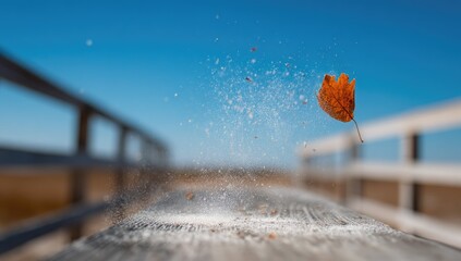 A single orange leaf, airborne, amidst a flurry of particles, floats above a wooden boardwalk against a vivid blue sky