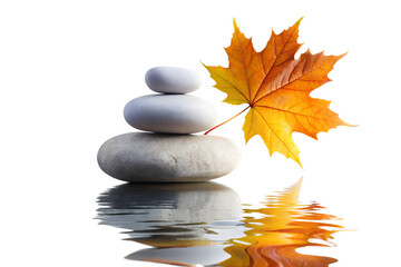 Zen stones and autumn leaf reflected in water isolated on white background