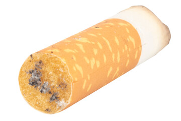 Cigarette Butt on White Background trash