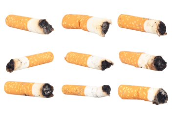 Cigarette Butt on White Background trash