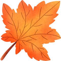 Autumn leaves and fall nature clipart set
Collection of autumn leaves, mushrooms, acorn, and pumpkin illustrations in warm fall colors, perfect for seasonal design and decoration projects.
