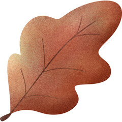 Autumn leaves and fall nature clipart set
Collection of autumn leaves, mushrooms, acorn, and pumpkin illustrations in warm fall colors, perfect for seasonal design and decoration projects.
