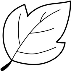 Autumn Coloring Autumn leaves and fall nature clipart set
Collection of autumn leaves, mushrooms, acorn, and pumpkin illustrations in warm fall colors, perfect for seasonal design and decoration proje