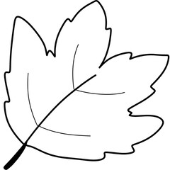 Autumn leaves and fall nature clipart set
Collection of autumn leaves, mushrooms, acorn, and pumpkin illustrations in warm fall colors, perfect for seasonal design and decoration projects.
Coloring