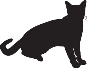 A silhouette cat pet animal detailed graphic