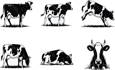 Black and white cow vector illustration set with farm animals standing, grazing, running, lying down, and resting in different poses
