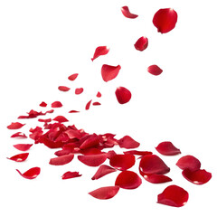 Elegant Red Petals in Motion for Valentine and Wedding Themes

