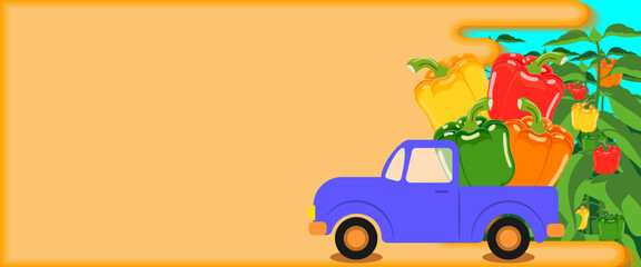 Truck loaded with Sweet bell peppersAgricultural field. Harvest season. Horizontal banner. Isolated vector illustration.