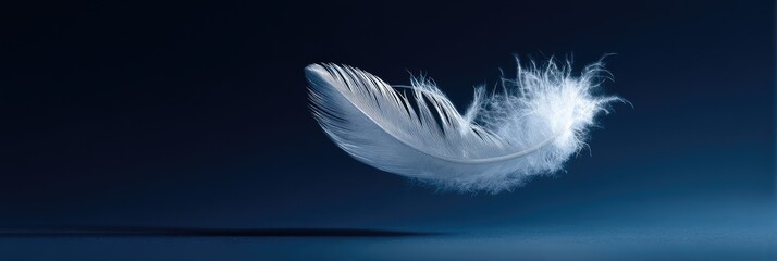 Obraz premium A single, white feather floats against a deep blue backdrop