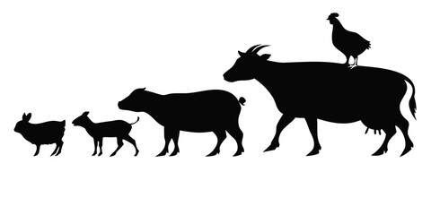 Fototapeta premium silhouette of animals 