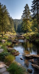 Serene forest stream flowing through rocks