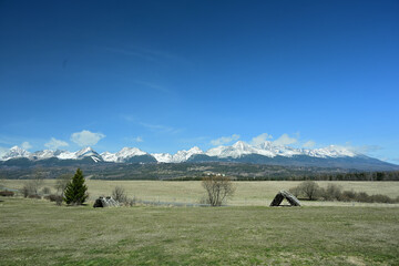 Green forest landscape in the background with snow-covered mountain peaks High Tatras in spring