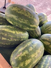 watermelons at the market
