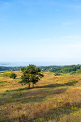 Blick von einem Aussichtspunkt auf Hiddensee im Sommer