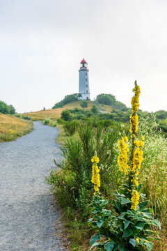 Der Weg zum Leuchtturm auf Hiddensee