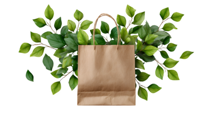 Paper bag with eucalyptus branches, isolated on transparent background