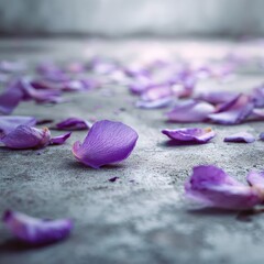Scattered purple rose petals on a gray concrete floor.  Soft focus