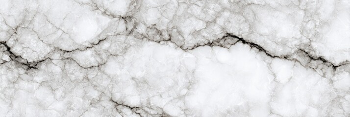 Obraz premium Detailed close-up view of white marble with veining