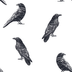 Raven, seamless pattern, engraving, hand drawn vector illustration, monochrome