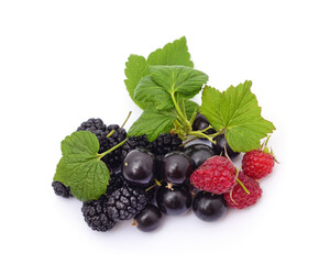 Heap of fresh berries.