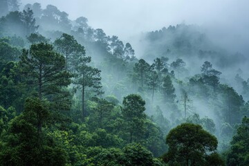 Misty mountain forest scene. Lush green trees cover a hillside, draped in a soft, light-gray mist