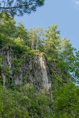 The rocky slopes of the Altai Mountains covered with dense forest